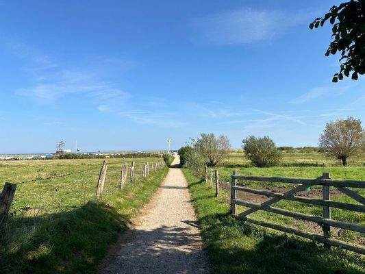 Schnell an der Ostsee