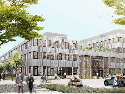 Berlin Büros, Büroräume, Büroflächen 