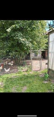 WhatsApp Image 2025-08-02 at 21.25.03