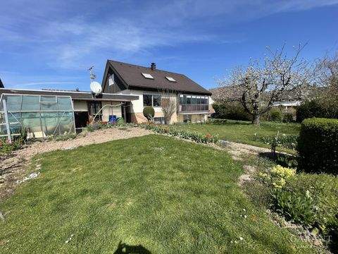 Vaihingen an der Enz Häuser, Vaihingen an der Enz Haus kaufen