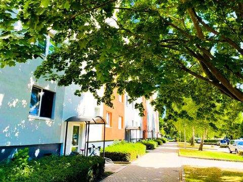 Magdeburg Wohnungen, Magdeburg Wohnung kaufen