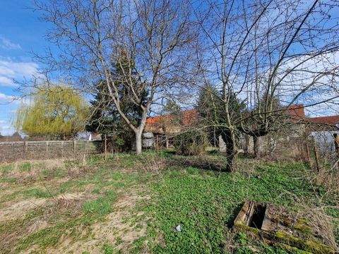 Dessau-Roßlau Häuser, Dessau-Roßlau Haus kaufen