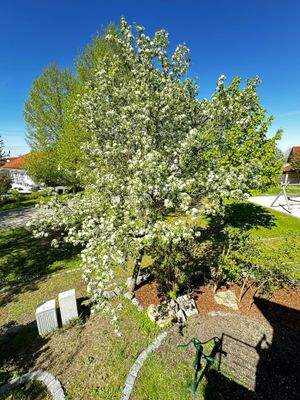 Aussicht von Balkon OG.jpg