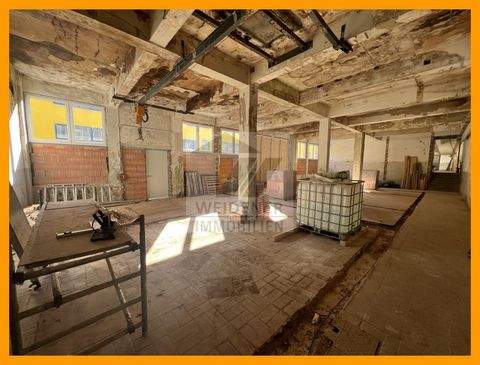 Gera Halle, Gera Hallenfläche