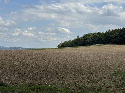 Essenbach Bauernhöfe, Landwirtschaft, Essenbach Forstwirtschaft