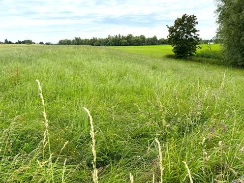 Kalkar Bauernhöfe, Landwirtschaft, Kalkar Forstwirtschaft