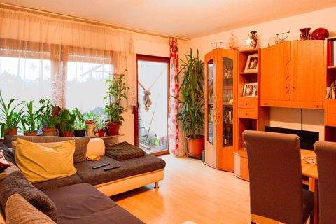 Auggen Häuser, Auggen Haus kaufen