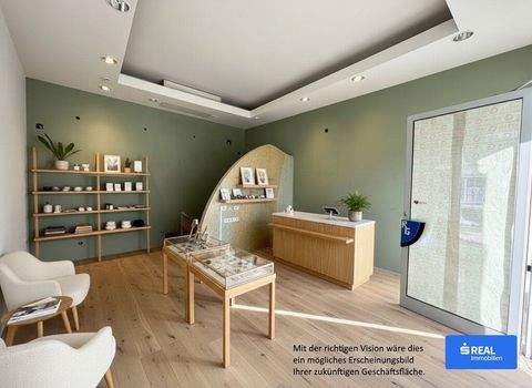 Lienz Ladenlokale, Ladenflächen 