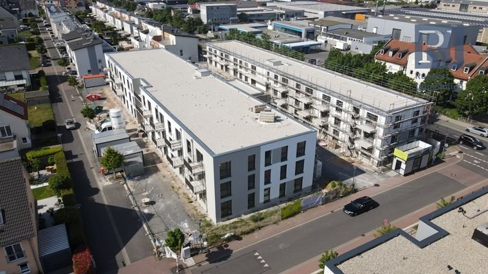 Bautenstand 20.05.2025