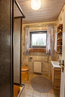 Gäste-WC mit Dusche EG