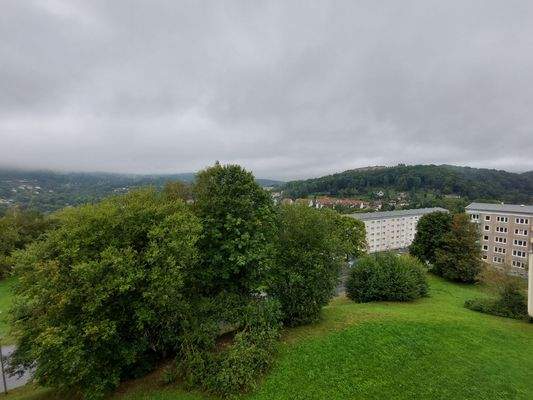 Ein Blick ins Grüne