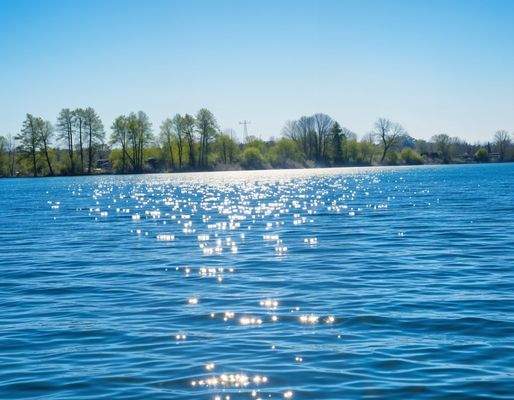 Umgebung - Mühlenteich 