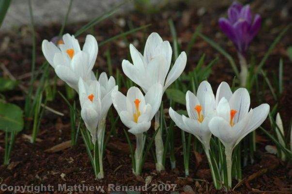 Bild 45