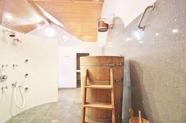 Wellness & Spa/Tauchbecken aus Holz