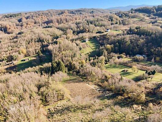 Außenansicht - (KI generiert)