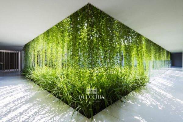 VISTA (10).jpg