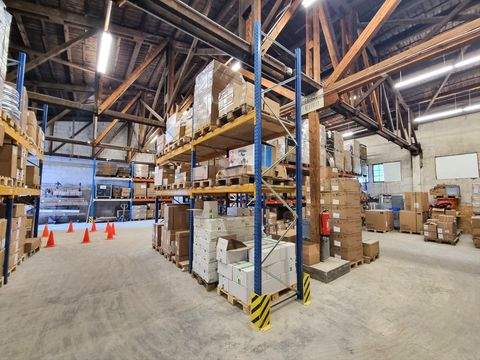 München Halle, München Hallenfläche