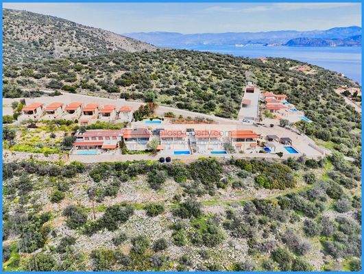 ee94d87b88aa408287a5c16b4369a5d7-original