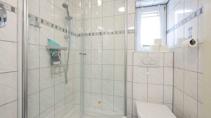 073 1 Tageslichtbad, Dusche (1 von 1).jpg