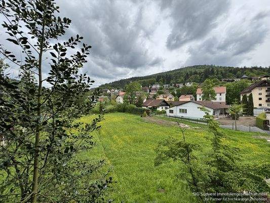 Aussicht vom Haus 