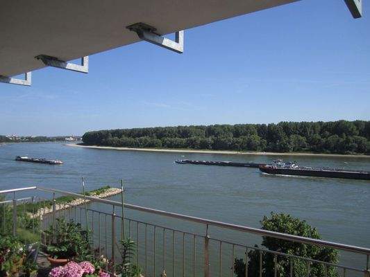 Südausrichtung in erster Reihe