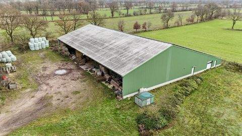 Windbergen Halle, Windbergen Hallenfläche