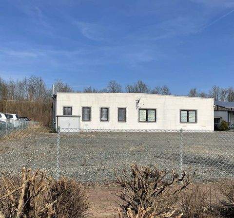 Laatzen Halle, Laatzen Hallenfläche