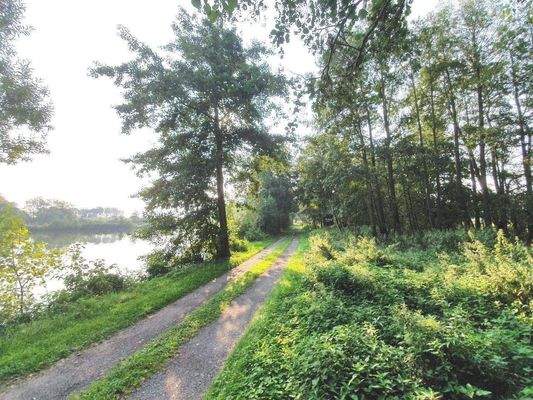 Zufahrt/Baugrundstück