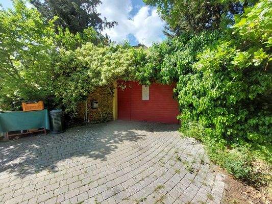 20240417_112559 (Kopie).jpg