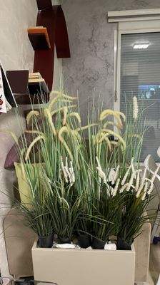 ETW Front line in saranda (31).jpg