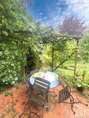 Freisitz an der Weinrebe!