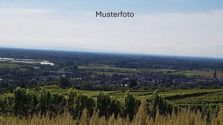 Ausblick Musterfoto