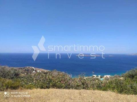 Mpatsi, Andros Bauernhöfe, Landwirtschaft, Mpatsi, Andros Forstwirtschaft