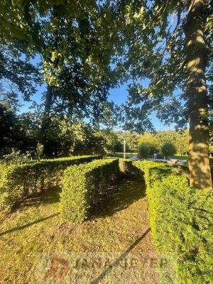 Kneippanlage zwischen den Rosen