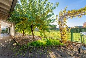 Ausblick Nachbarschaft