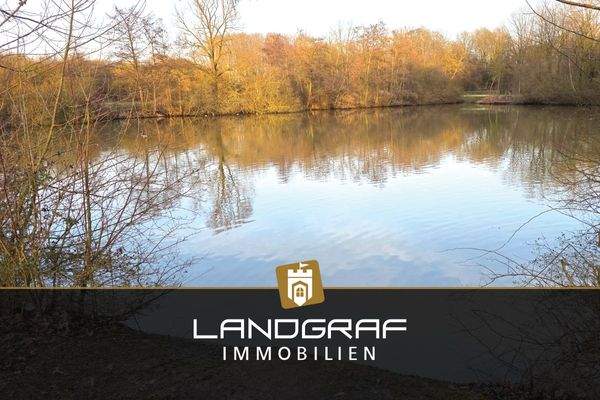 Umfeld direkt am Rodensee