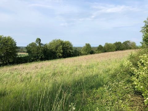 Beratzhausen Grundstücke, Beratzhausen Grundstück kaufen