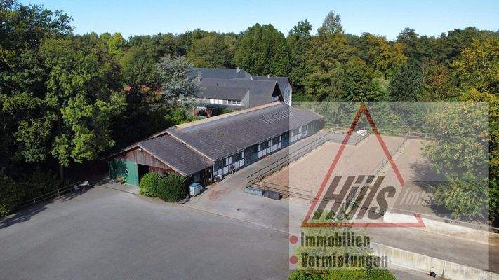 Paddock, Pferdeboxen