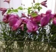 gepflegte sanierte Wohnung