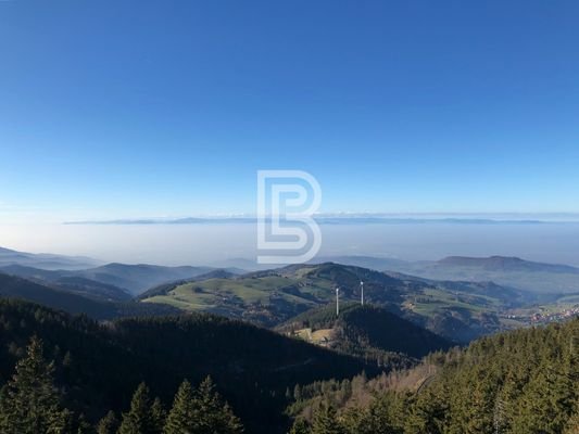 Berge