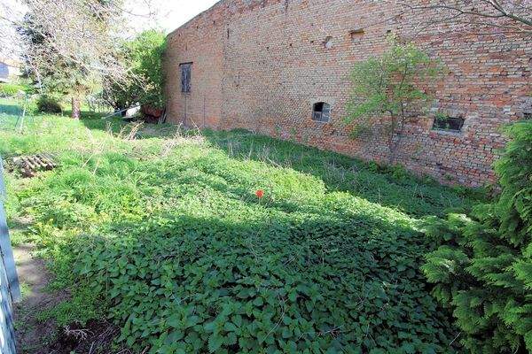 Garten hinten (1).jpg