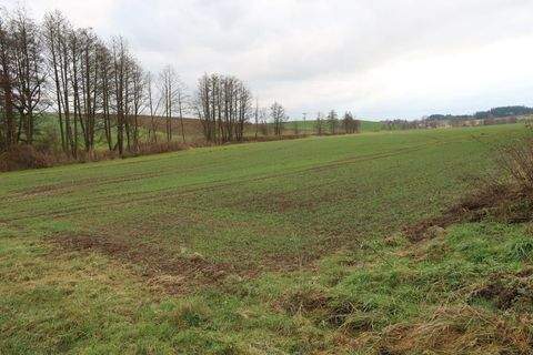 Baierbach Bauernhöfe, Landwirtschaft, Baierbach Forstwirtschaft