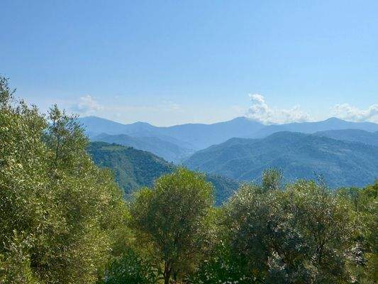 DA979_14 TERRA ITALIA IMMOBILIEN_LIGURIEN_DOLCEACQ