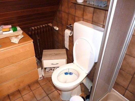 Kleines Duschbad mit WC