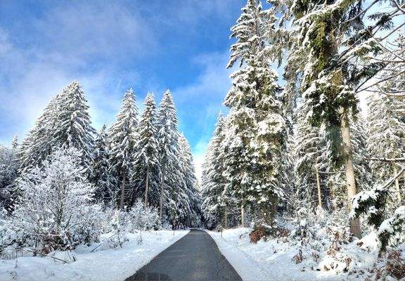 romantische Zufahrt nach Dalken