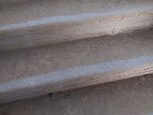 villa-altenburg-verkaufen (17)