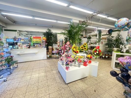 Bild 15