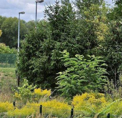 Blick zum Grundstück