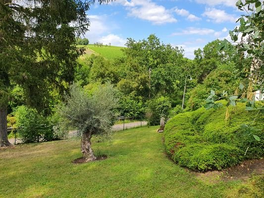 Terrain-a-vendre-a-Greiveldange-A21544-3