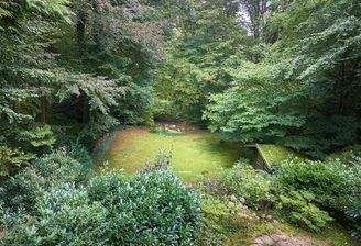 Blick von der Terrasse zum Alsterlauf
